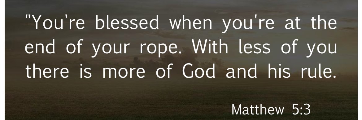 LiShambula 👑 banner