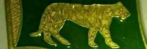 پکا نون لیگی banner