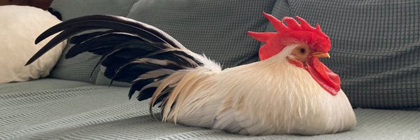 Waackl_ Profile Banner