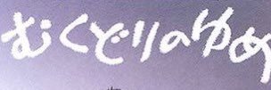 む banner