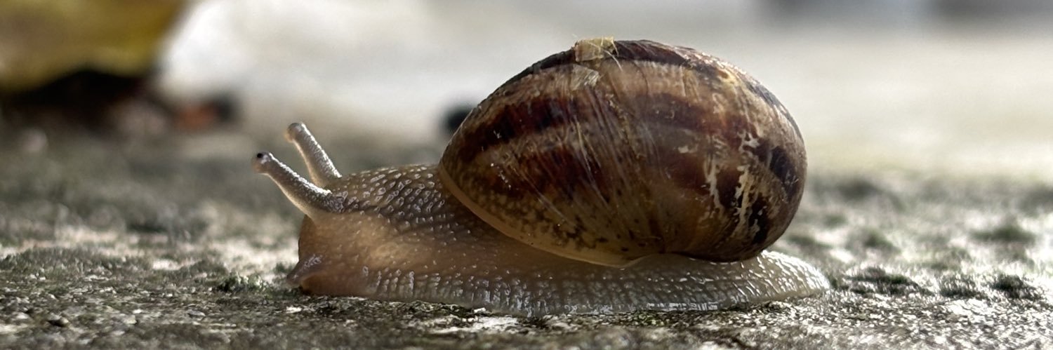 LaTina 💜🦩 banner