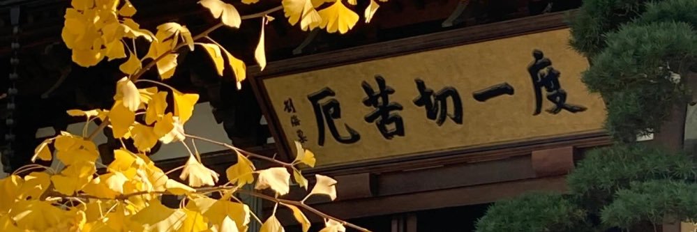 洁世屹 banner
