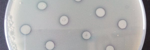 phagefluencer Profile Banner