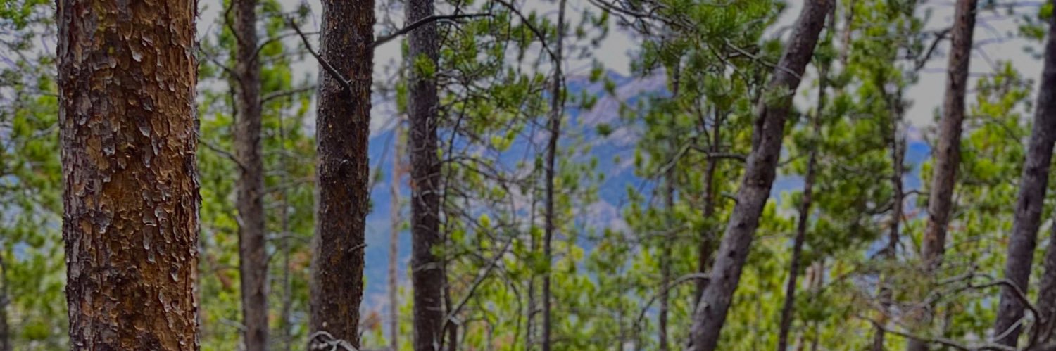 esecrypto's profile banner image