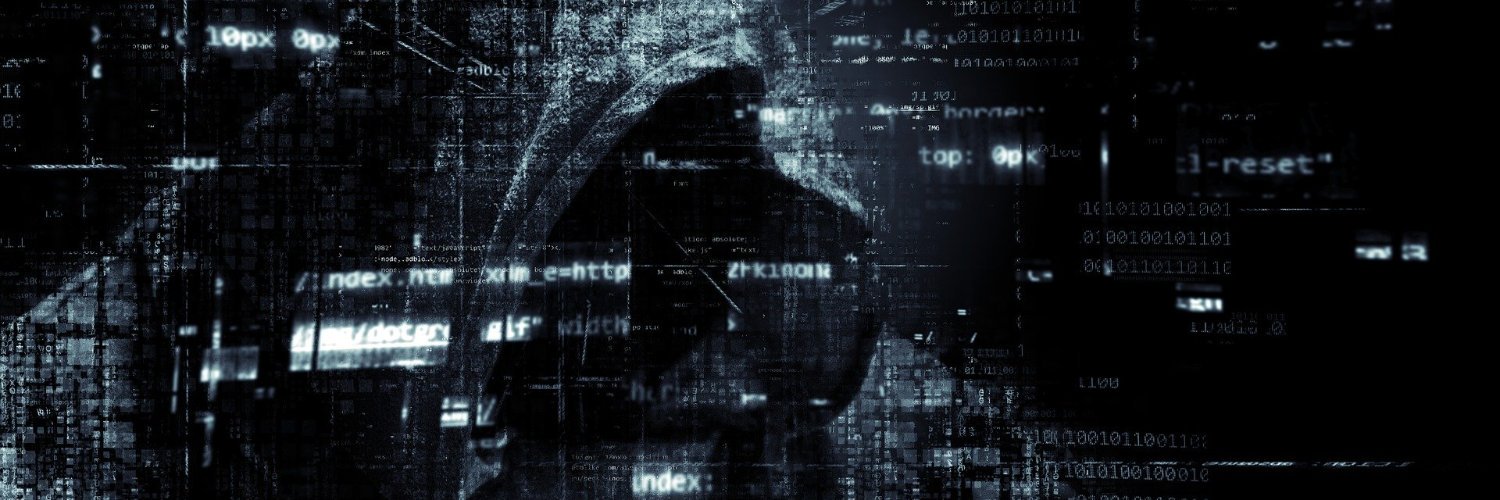 slyferretsec's profile banner image