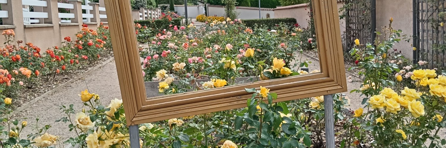 Chantal Messerly banner