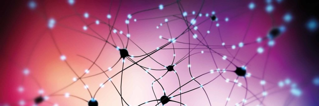 epilepsy facts & opinions (minds of an epileptic) banner