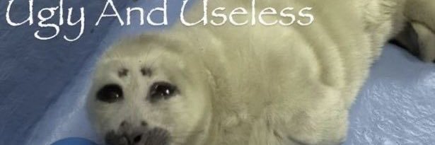 peepee poopoo 🦤's banner