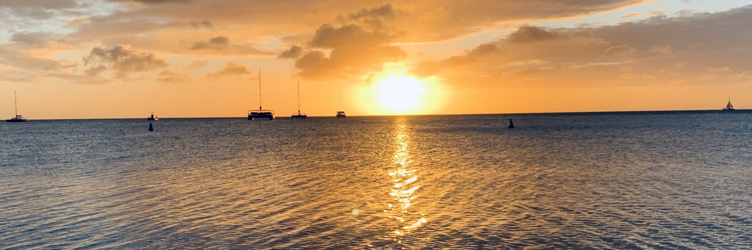 FLS 𝘽𝘼𝘿𝙂𝙀𝙍 banner