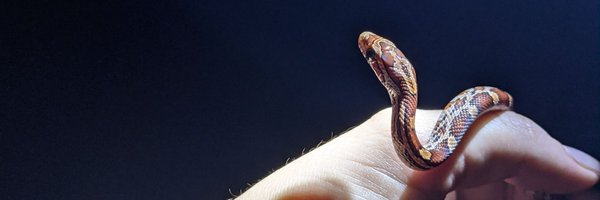 amely_bauer Profile Banner