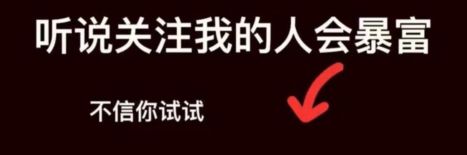 币圈老顽固