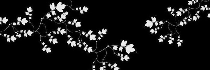 mai_revzz's profile banner image