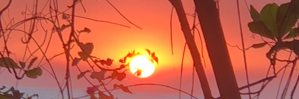 Robeek's profile banner image