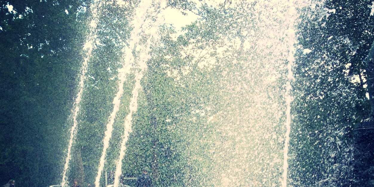 shevatauby's profile banner image