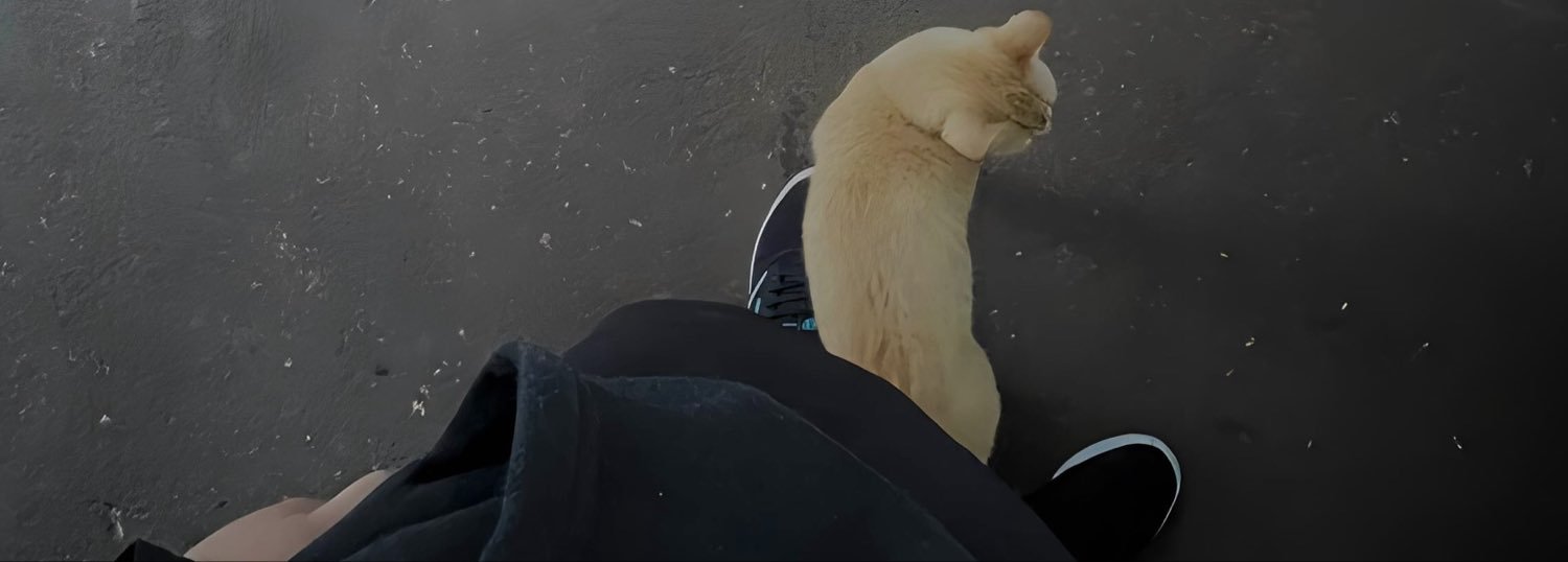 beagatwt's profile banner image