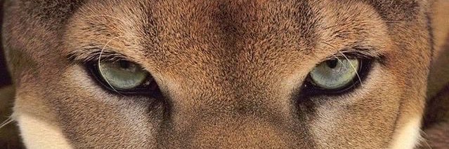 du__a1's profile banner image