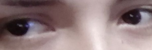 Shokker0 Profile Banner