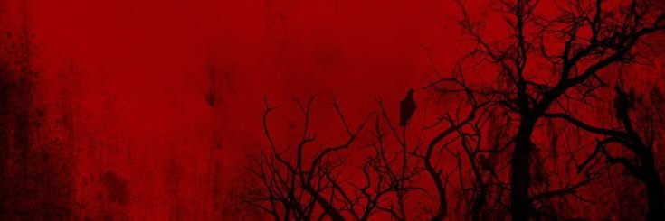 Fauxbird__'s profile banner image
