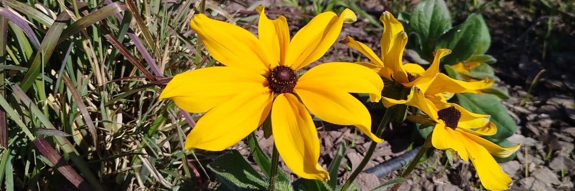 _Gimena's profile banner image