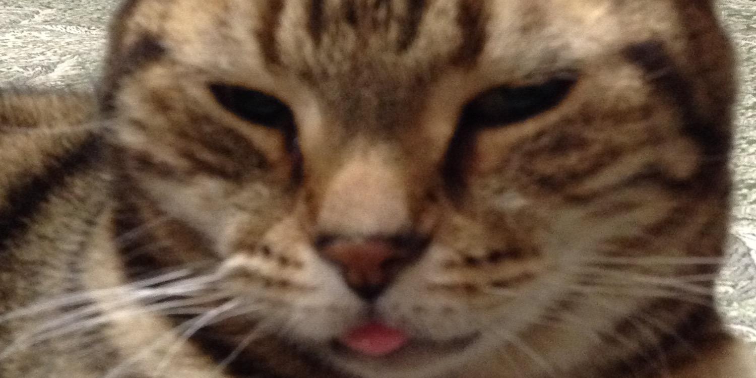 gotof's profile banner image
