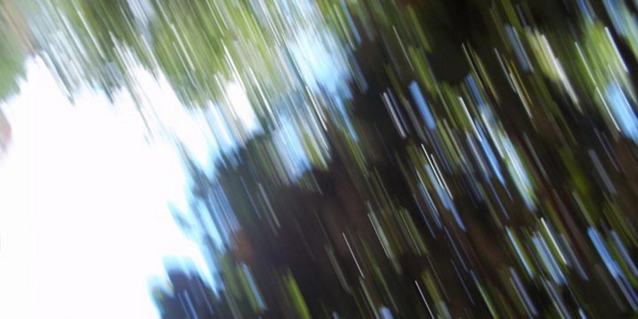 ximenaurrea's profile banner image