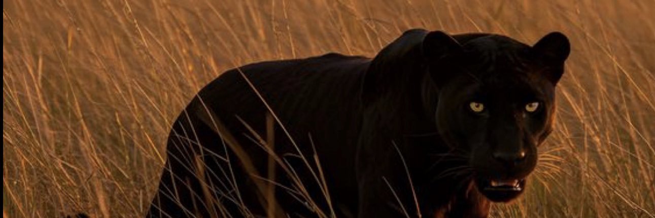 Unselectedd___'s profile banner image