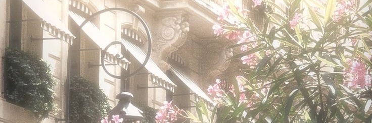 zjinsol's profile banner image