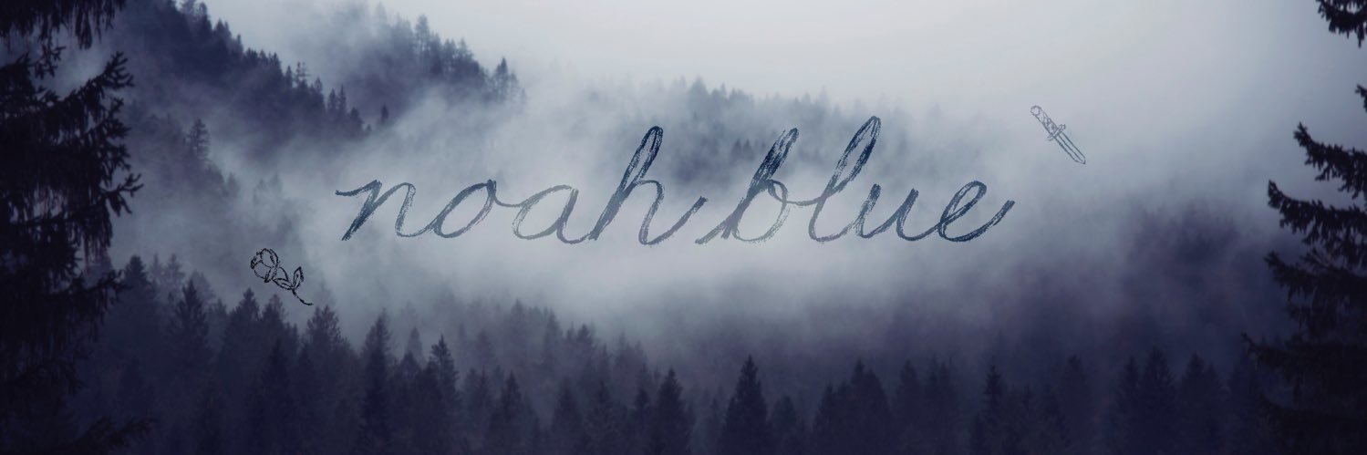 noah blue banner