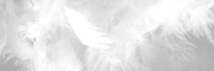 kkoo552's profile banner image