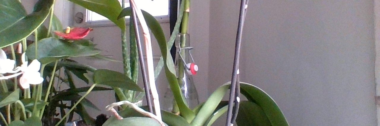 1000andOneNites banner