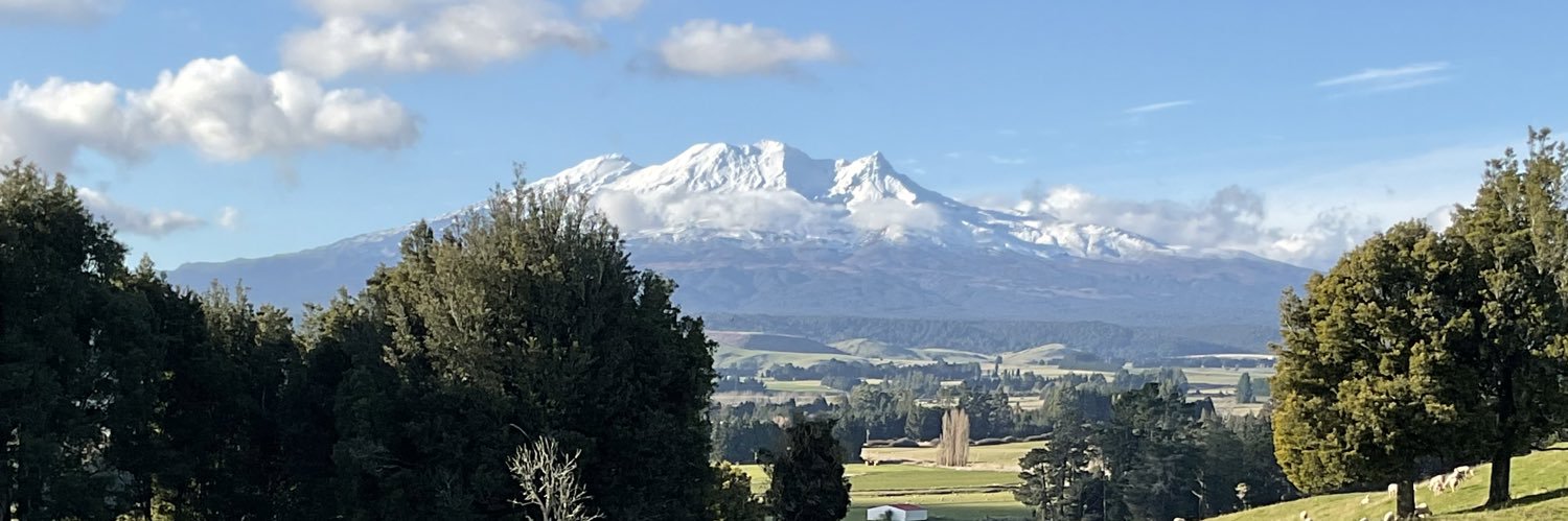 Cynthia Cresswell banner