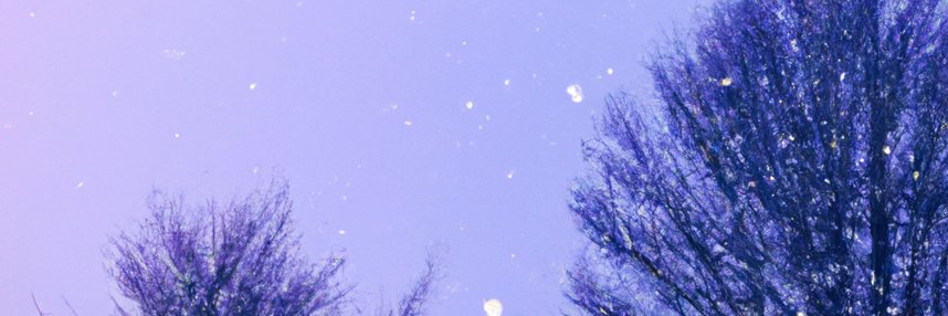 drea.eth's banner