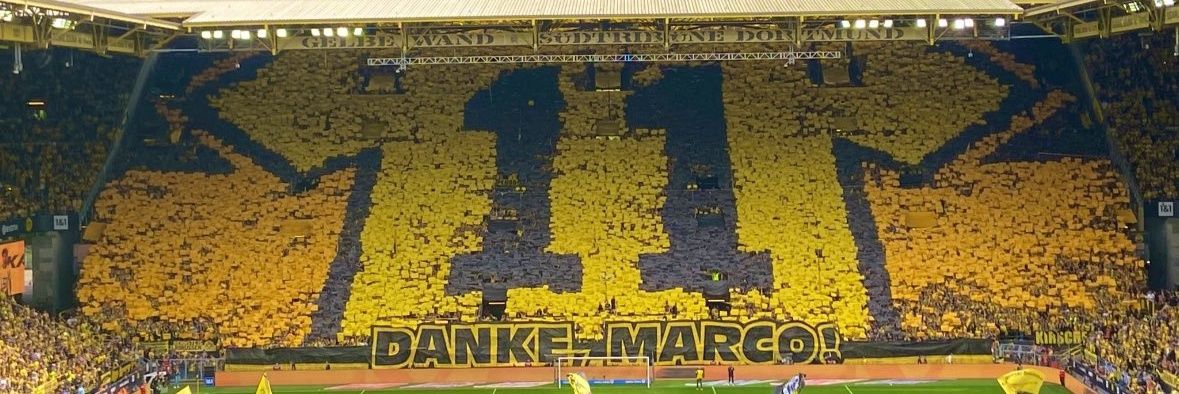 BVBTim1993 banner