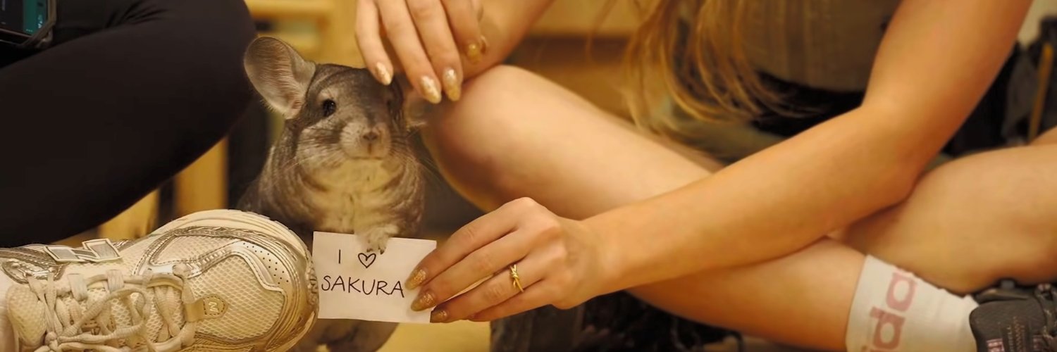 Javi 🍉🌸 banner