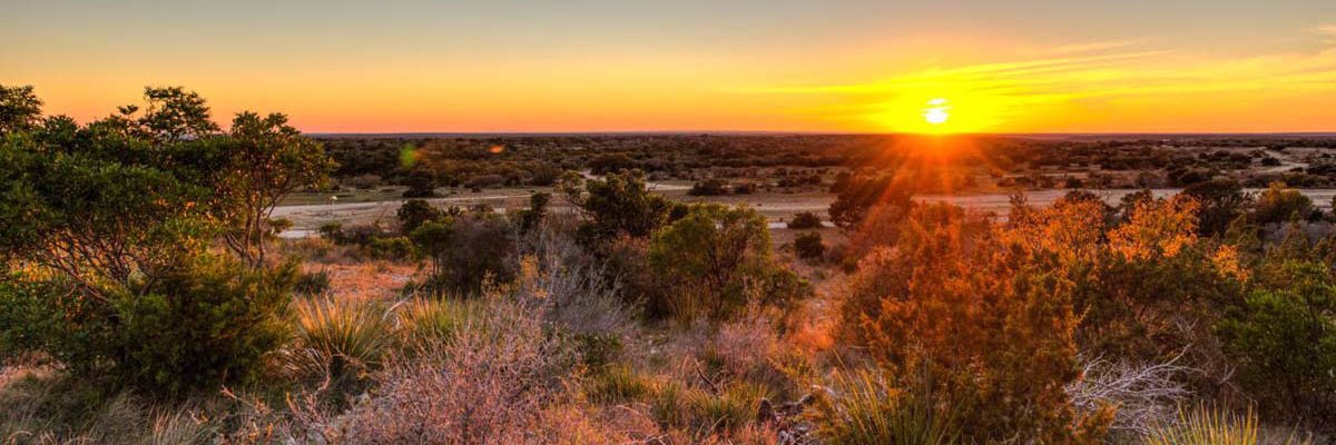 TChrisBounds's profile banner image