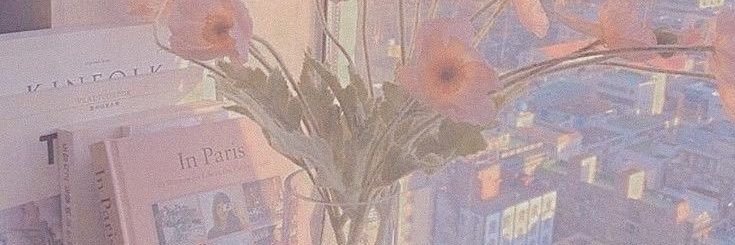 ✧ ˖˚˳⊹ banner