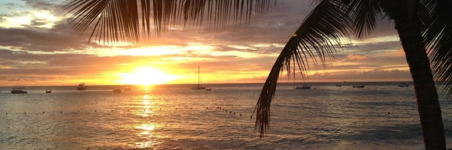 LeboMoncho1's profile banner image
