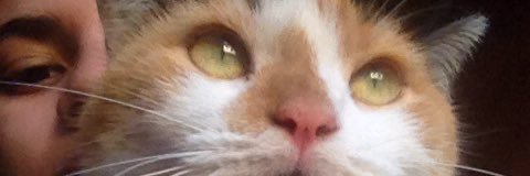 Anto_690 banner