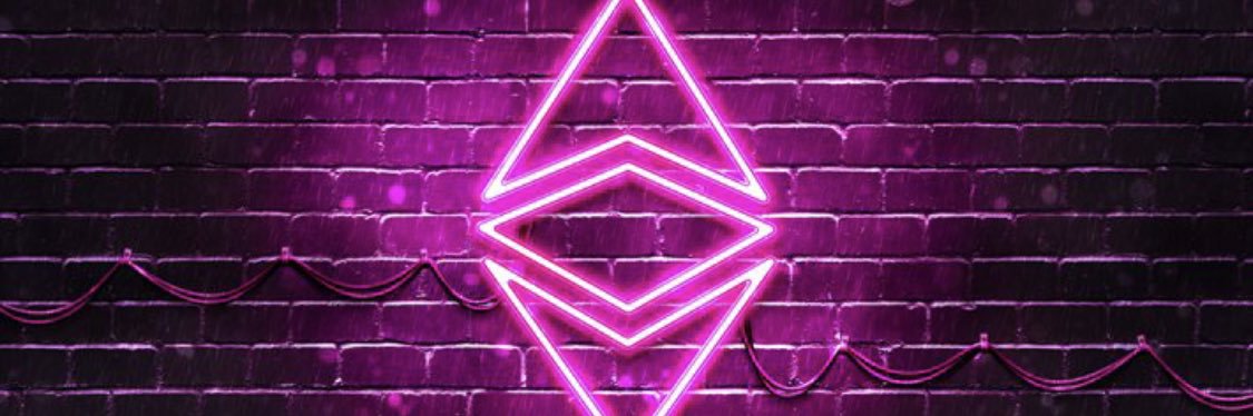 The_Crypto_Bird's profile banner image