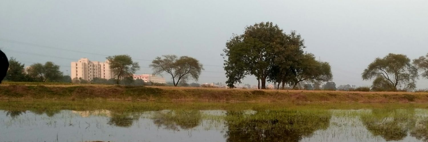 PBhusaula's profile banner image