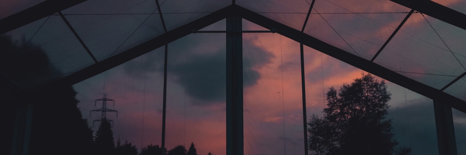 robbi manea banner