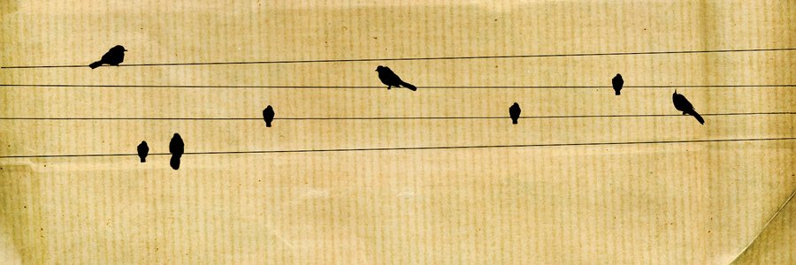 ipdeituiutaba's profile banner image