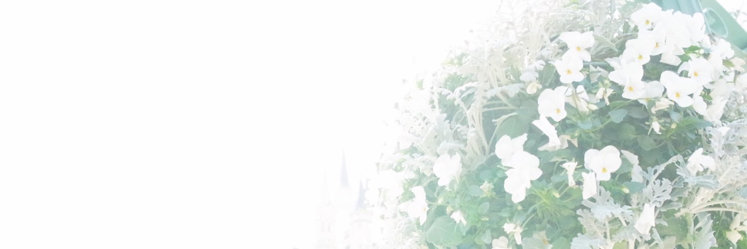 toy030508's profile banner image