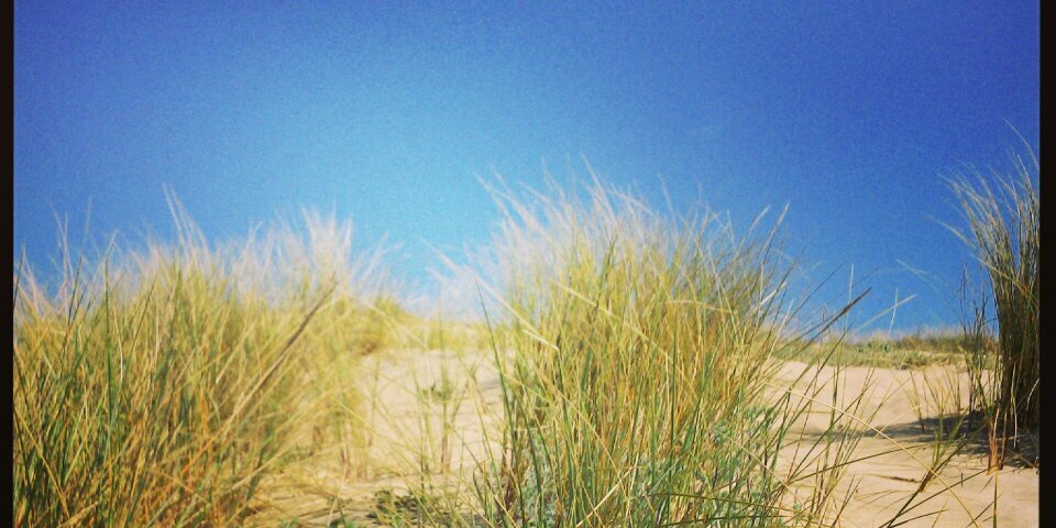 Aunitham's profile banner image