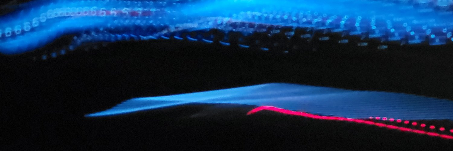 Karl Snow banner
