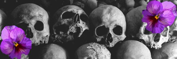 SkullMan8888 Profile Banner