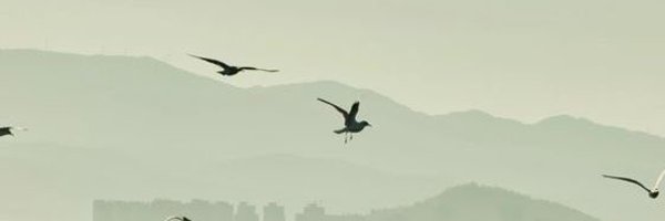 ayqqii Profile Banner