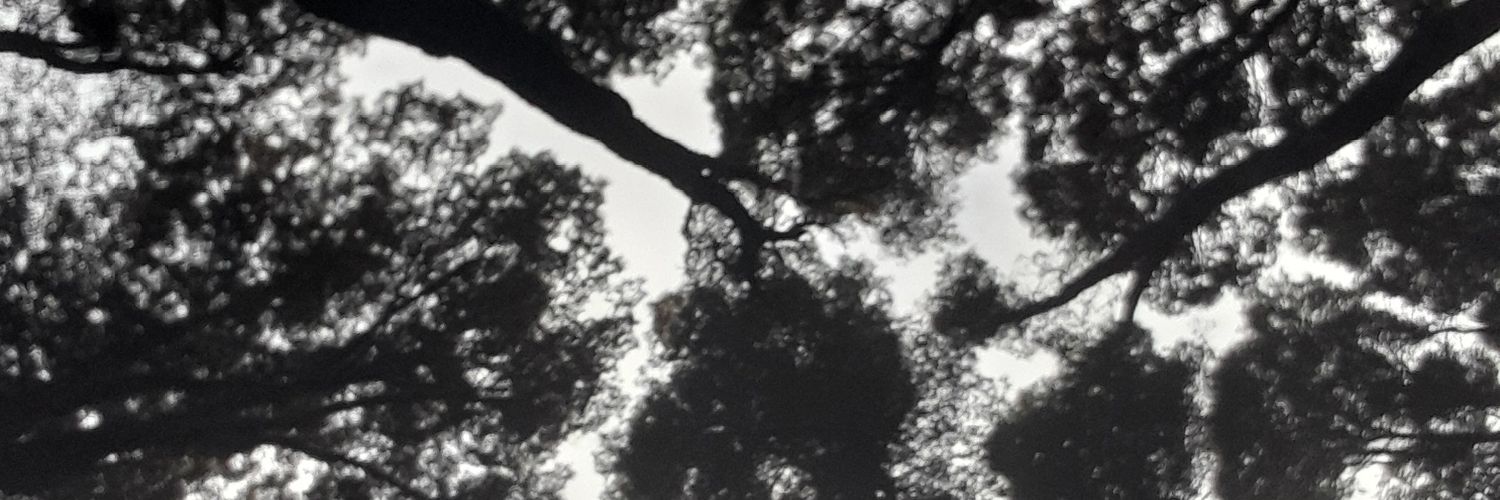 biscottifan's profile banner image