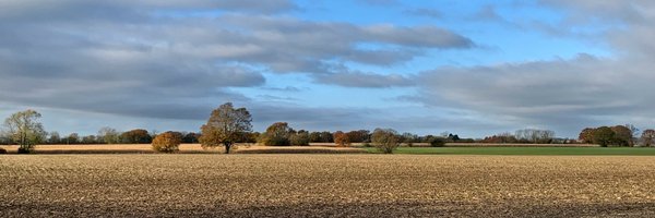 PoppySimister Profile Banner