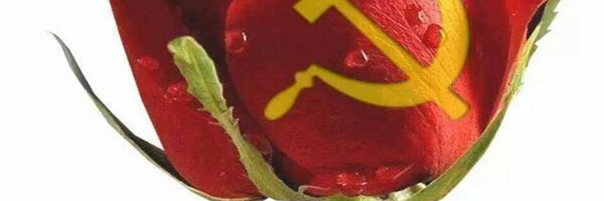 JBeltranLopez's profile banner image